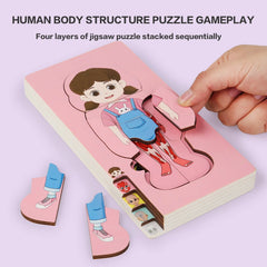 Wooden Human Body Puzzles Educational Toys Cognitive Funny Montessori Puzzles Toy for Kids Toddlers Educational Gifts