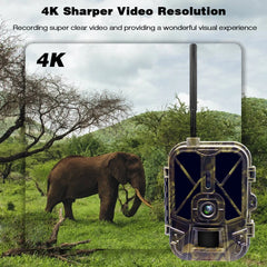 4K Live Stream Trail Camera