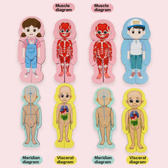 Wooden Human Body Puzzles Educational Toys Cognitive Funny Montessori Puzzles Toy for Kids Toddlers Educational Gifts