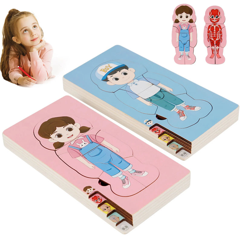 Wooden Human Body Puzzles Educational Toys Cognitive Funny Montessori Puzzles Toy for Kids Toddlers Educational Gifts