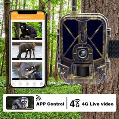 4K Live Stream Trail Camera