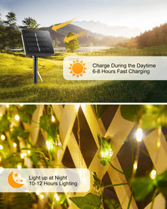 Solar Fairy Lights Outdoor 100 led 10m